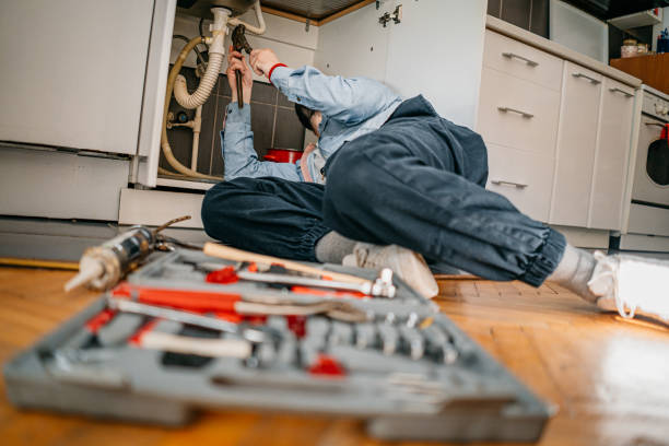 Best Plumbing Services Near Me  in Winnebago, MN