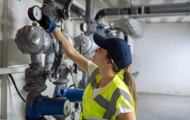 Best Clogged Drain Plumber  in Winnebago, MN