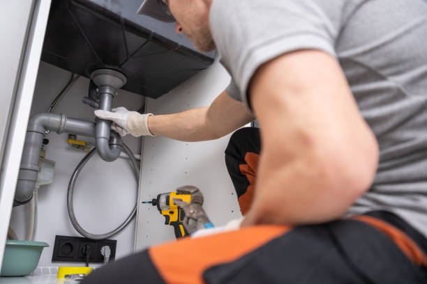 Best Commercial Plumbing Services  in Winnebago, MN